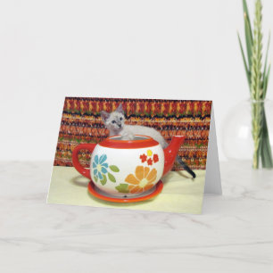 Phoenix - Test des eaux - Carte de voeux