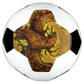 Phoenix Voetbal (Gedraaid)