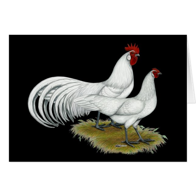 Phoenix: White Pair (Voorkant Horizontaal)