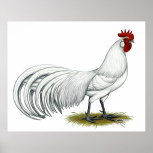 Phoenix: Witte rooster Poster