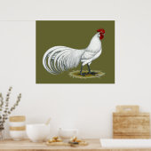 Phoenix: Witte rooster Poster (Keuken)