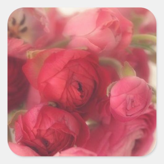 Phoques et autocollants d'enveloppes florales rose (Devant)