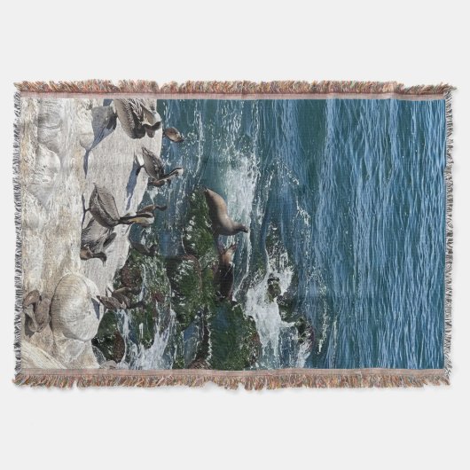 Phoques et oiseaux Jeter la couverture (Devant)