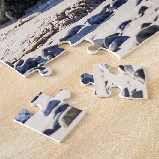 Phoques gris reposant, Jigsaw Puzzle (Côté)
