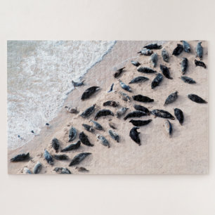 Phoques reposant sur le rivage, Jigsaw Puzzle