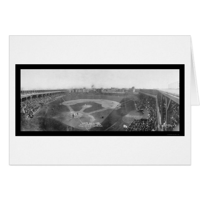 Photo 1909 des White Sox de Chicago CUB (Devant horizontal)
