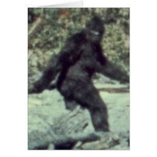 PHOTO 1967 DE BIGFOOT SASQUATCH D'ORIGINAL