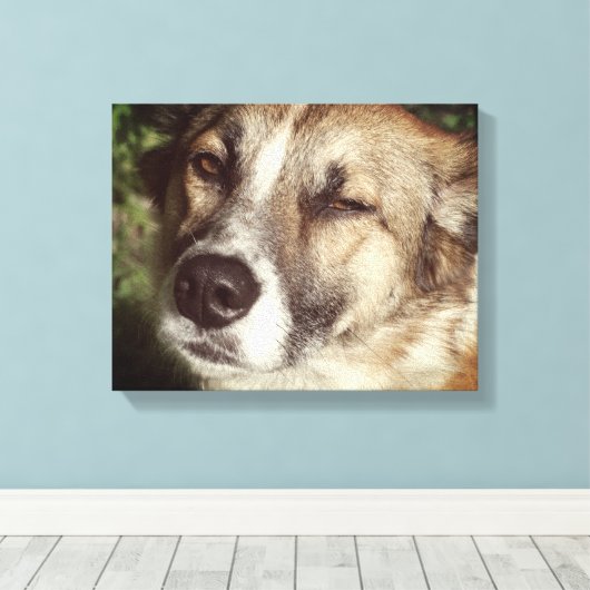 Photo à visage de chien à impression simple (Insitu (Plancher de Bois))