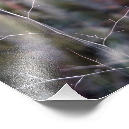 photo abstraite de branche (Coin)