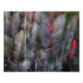 photo abstraite de branche (Devant)