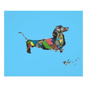 Photo agrandissement de Dachshund