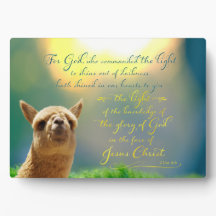 Alpaca Gold Turquoise Bible Citation Easel Plaque