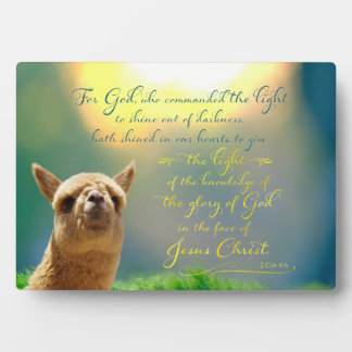 Photo Alpaca Gold Turquoise Bible Citation Easel Plaque