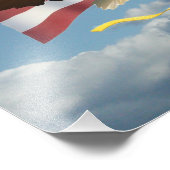 Photo American Bald Eagle (Coin)