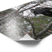 Photo Angel Crow (Coin)