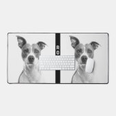 Photo Animaux de compagnie Chien noir et blanc Cré (Clavier et souris)