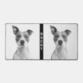 Photo Animaux de compagnie Chien noir et blanc Cré (Recto)