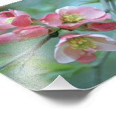 Photo Apple Blossom #P0356 (Coin)