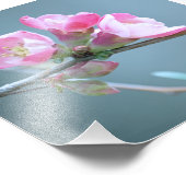 Photo Apple Blossom #P0358 (Coin)