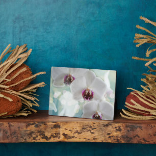 Photo Art Décor Plaque de fleurs orchidées