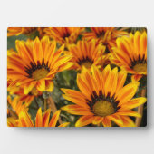 Photo Art Décor Plaque-Fall Flowers Plaque (Devant)