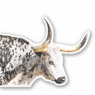 Photo art Longhorn Vache Autocollant Vinyl Coupé P