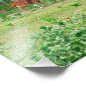 Photo Axis Deer (Coin)