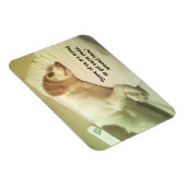 Photo beagle "Essayer de dormir" Magnet 3x4 (Côté Droit)