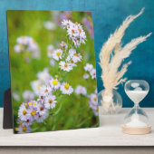 Photo Beauty Line Plaque (Côté)