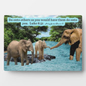 Photo Belle Écriture Eléphante Plaque Luke 6:31 (Devant)