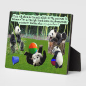Photo Belle Écriture Panda Plaque Psaumes 16:11 (Côté)