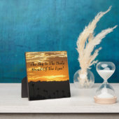 Photo Belle Plaque ! (Insitu)