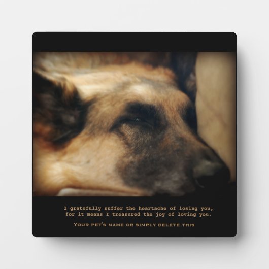 Photo Belle plaque commémorative d'animal de compagnie B (Devant)