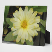 Photo Belle Plaque Marigold Jaune (Côté)
