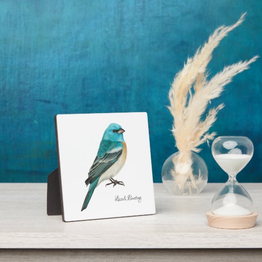 Photo Belle Plaque Oiseaux (Insitu)