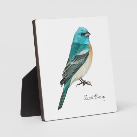 Photo Belle Plaque Oiseaux (Recto)