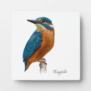Photo Belle Plaque Oiseaux