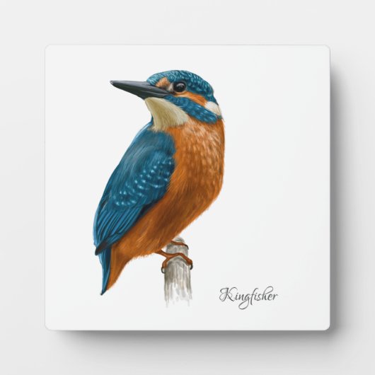 Photo Belle Plaque Oiseaux (Devant)