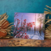 Photo Beurre d'hiver dans la plaque de glace (Côté)