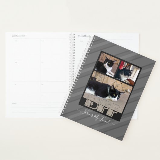 Photo BFF Forever My Friend (Devant avec enveloppe)