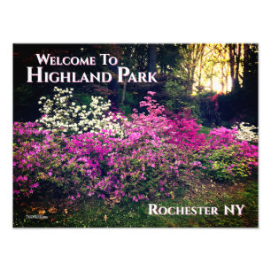 Photo - Bienvenue à Highland Park Rochester NY
