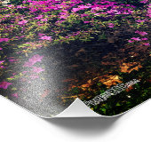 Photo - Bienvenue à Highland Park Rochester NY (Coin)