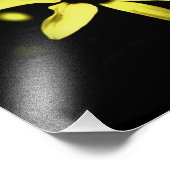 Photo Black Eyed Susan-L (Coin)