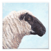 Photo Black Sheep Face II (Devant)