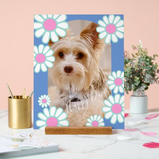 Photo bleu simple Daisy (Mariage)
