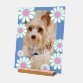 Photo bleu simple Daisy (Angle)