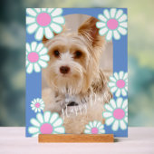 Photo bleu simple Daisy (Neutre)