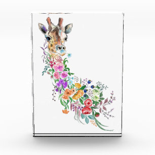 Photo Bouquet de fleurs colorées Bouquet Giraffe Bloc ph