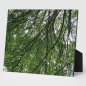 Photo Branches et Plaque Feuille (Côté)