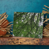 Photo Branches et Plaque Feuille (Côté)